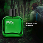 Wild Stone Forest Spice Perfume For Men - Image 3