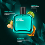 Wild Stone Edge Eau De Parfum for Men - Image 2